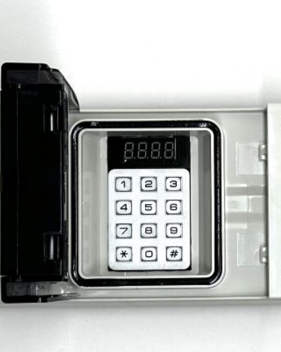 Pin Alarm System